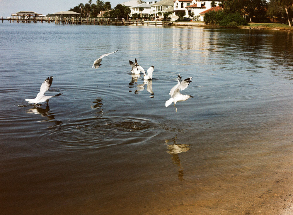 Lomography LomoChrome Color ’92 SUN-KISSED 400 120