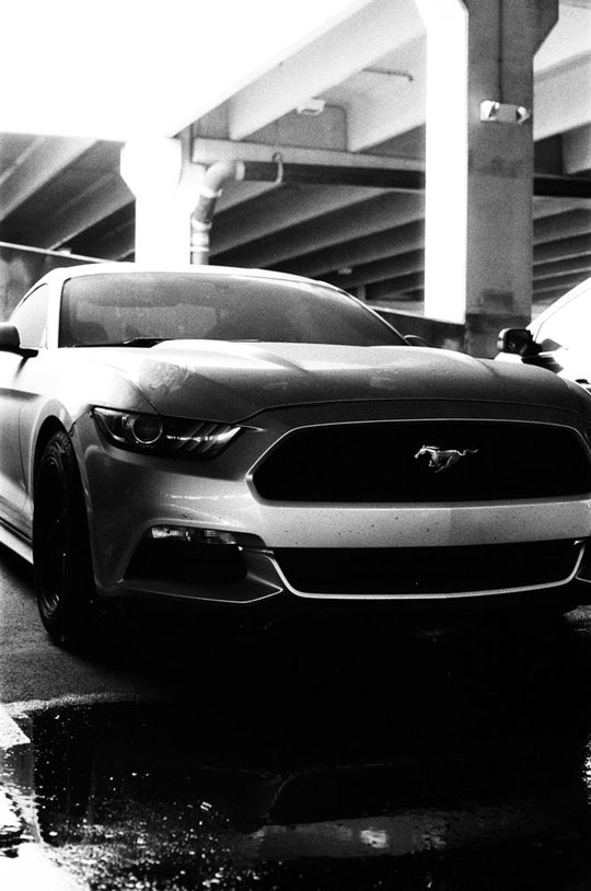 CineStillBWXX-1_540x.jpg?v=