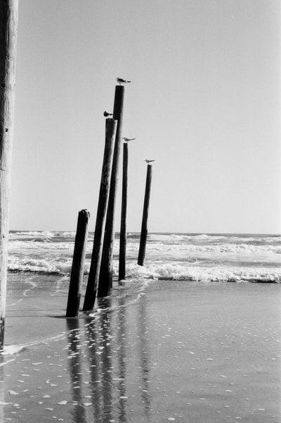 Ilford Delta 100 35mm 36 Exposure Roll