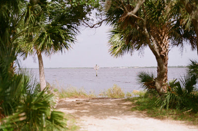 Kodak Kodacolor 200 35mm 36 Exposure Roll