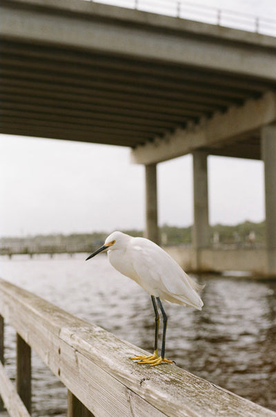 Kodak Kodacolor 200 35mm 36 Exposure Roll