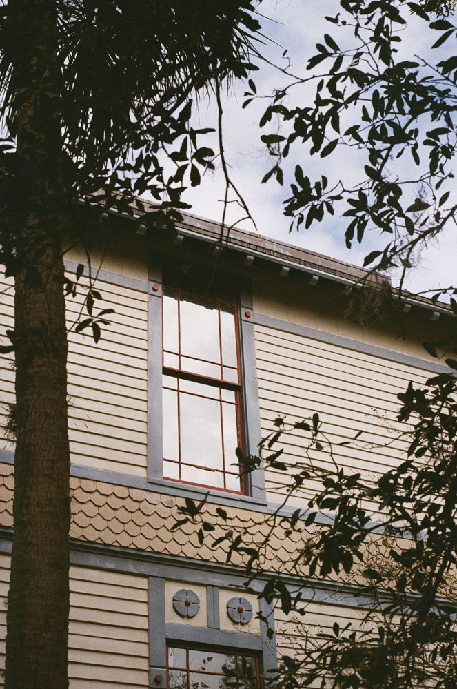 Lomography 400 Color Negative Film | Reformed Film Lab