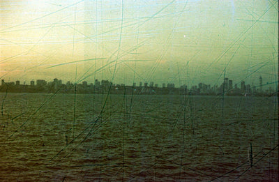 Revolog Streak ISO 200 35mm 36 Exposure Roll