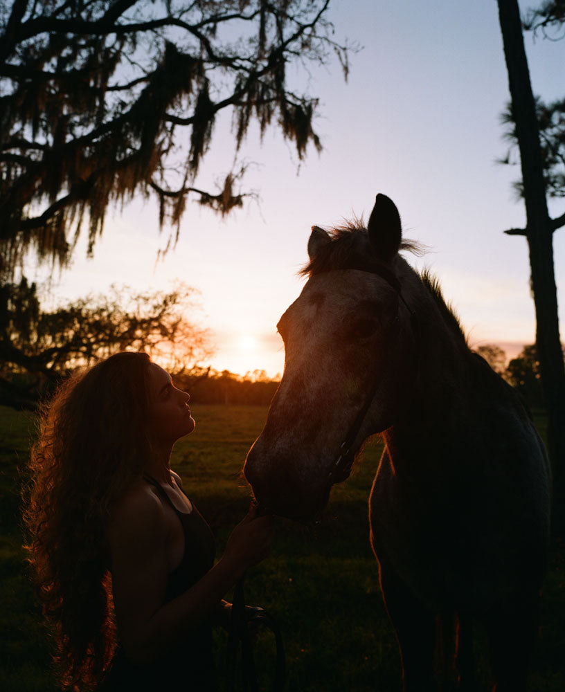 Kodak Gold 120 Film | 5 Pack | Reformed Film Lab
