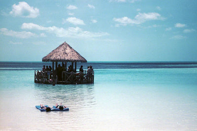 FPP Low ISO 1.6 35mm Color 24 Exposure Roll