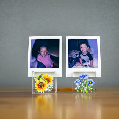 Fujifilm Instax Acrylic Floral Cube Photo Stands (2-Pack)
